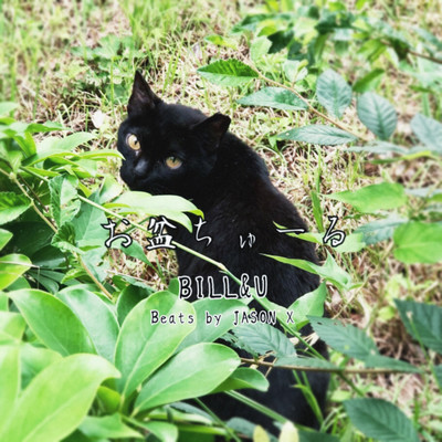 お盆ちゅーるのジャケット写真