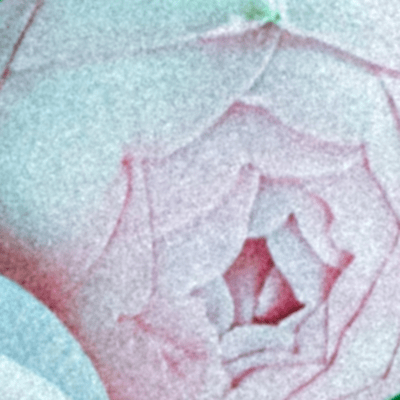 Ruminate Front Cover