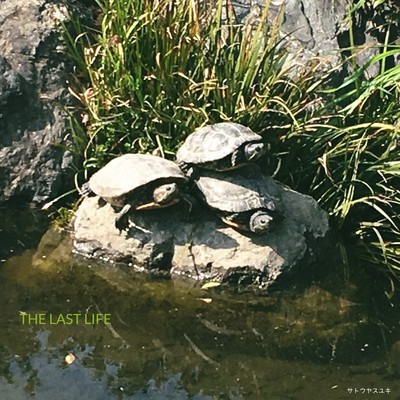 THE LAST LIFE Front Cover