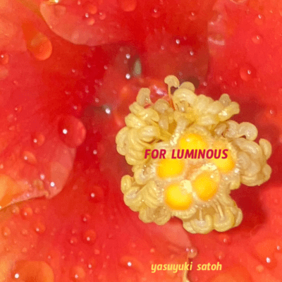 FOR LUMINOUS Front Cover