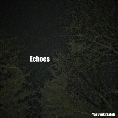 Echoes Front Cover