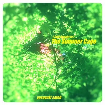 The Summer Cage Front Cover