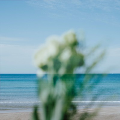 Pulseのジャケット写真