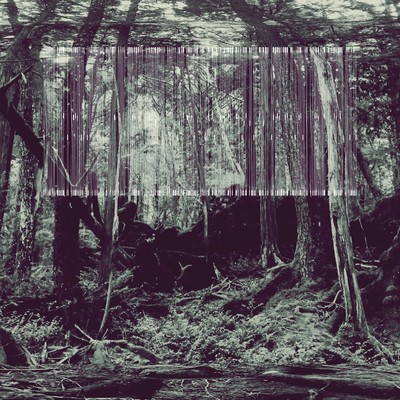 VOID Front Cover