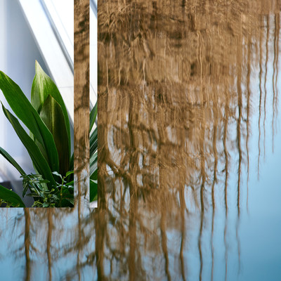 picture (feat. butaji & 荒井優作)のジャケット写真