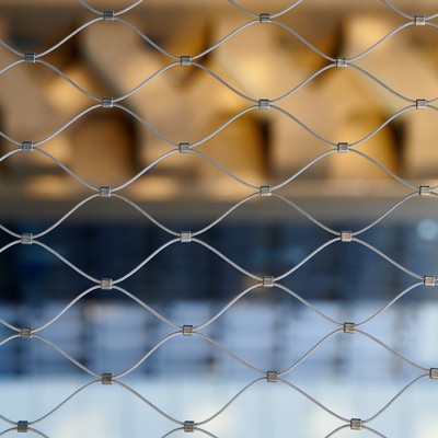 in my brain (feat. butaji & 荒井優作)のジャケット写真