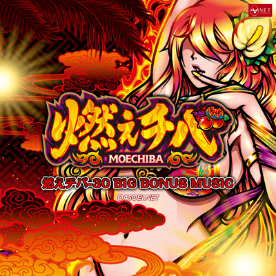 MOECHIBA-30 BIG BONUS MUSIC Front Cover