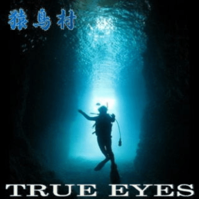 TRUE EYES Front Cover