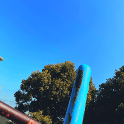 楔のジャケット写真