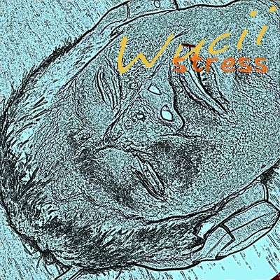 Stress Front Cover