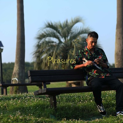 Pleasures Front Cover