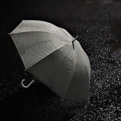 もういっそのジャケット写真