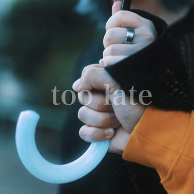 too late Front Cover