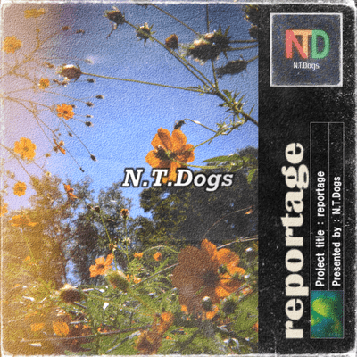 reportage Front Cover