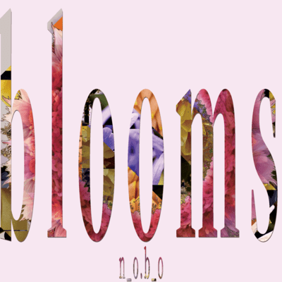 blooms Front Cover