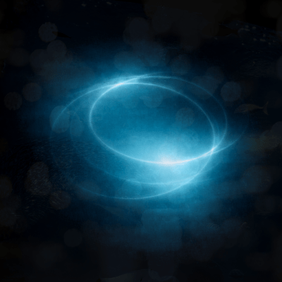 Night Fish Front Cover