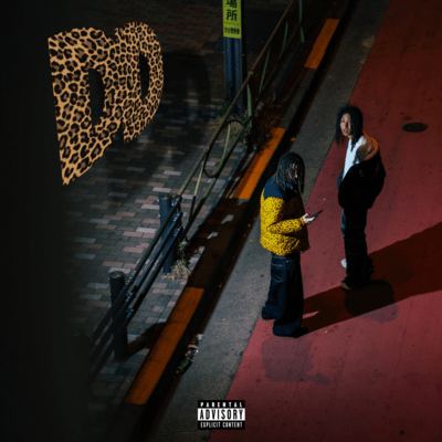 DDのジャケット写真