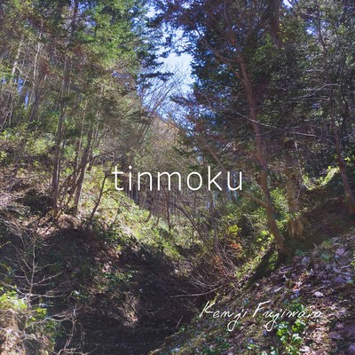 tinmoku Front Cover