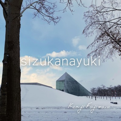 sizukanayukiのジャケット写真