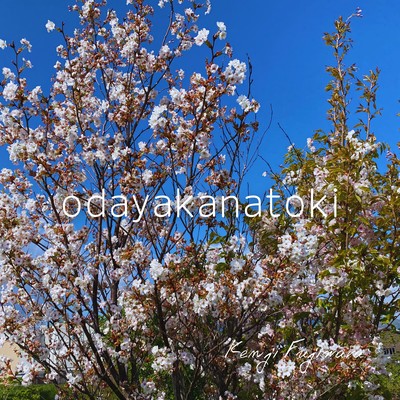 odayakanatoki Front Cover