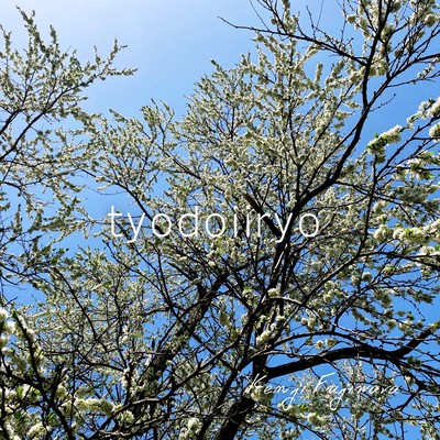 tyodoiiryo Front Cover