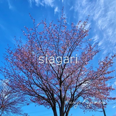 siagariのジャケット写真
