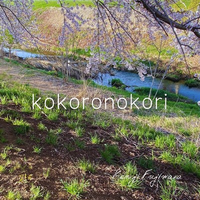 kokoronokori Front Cover