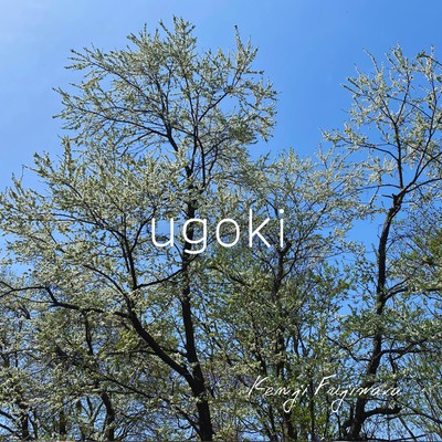 ugoki Front Cover