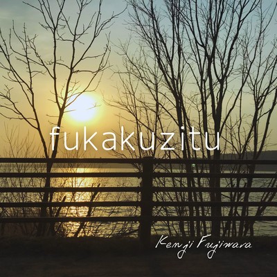 fukakuzitu Front Cover