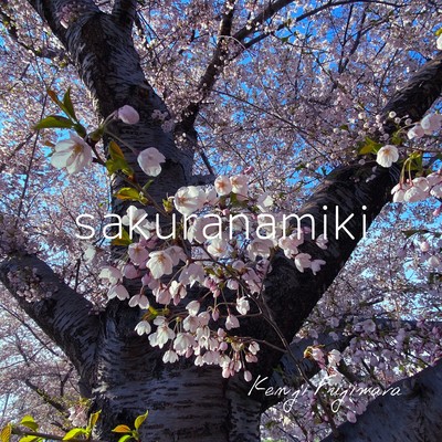 sakuranamiki Front Cover