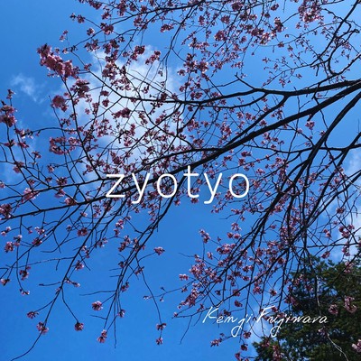 zyotyo Front Cover