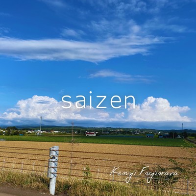 saizen Front Cover