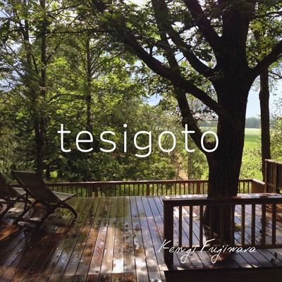 tesigoto Front Cover