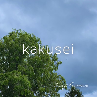 kakusei Front Cover