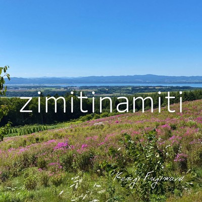 zimitinamiti Front Cover