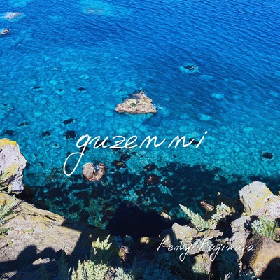 guzenni Front Cover