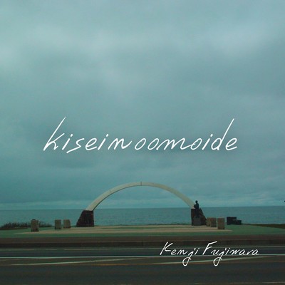 kiseinoomoide Front Cover