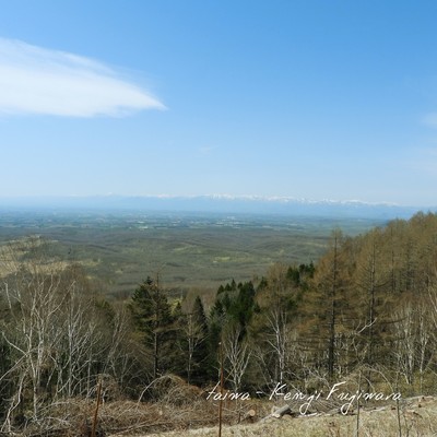taiwa Front Cover