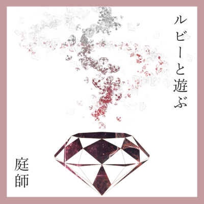 Playing with Ruby Front Cover