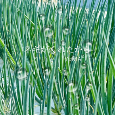 ネギがくれたからのジャケット写真