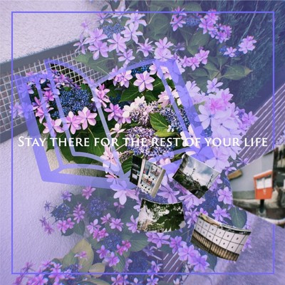 Stay there for the rest of your life Front Cover