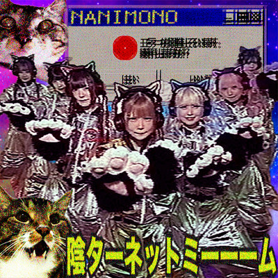陰ターネットミーーームのジャケット写真