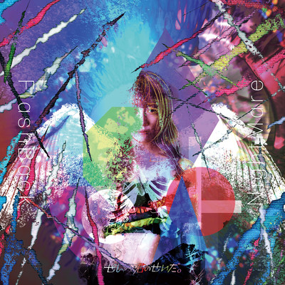 FlashBack NightMareのジャケット写真