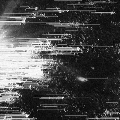 発光のジャケット写真