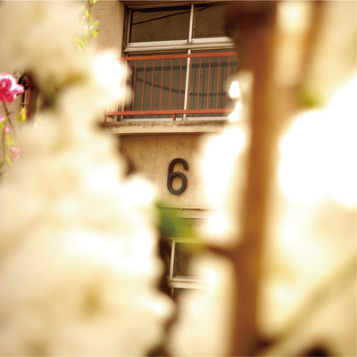 merkmalのジャケット写真