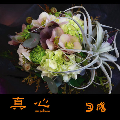 Magokoro Front Cover