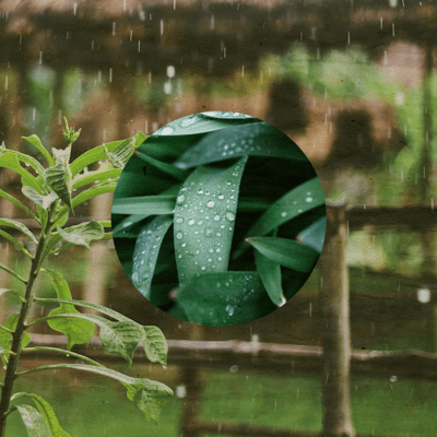 Calm rain sound & Healing Piano Front Cover