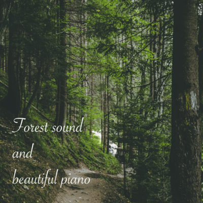 Forest sound and beautiful piano Front Cover
