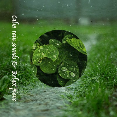 Calm rain sounds & Relax piano Front Cover