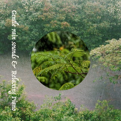 Gentle rain sounds & Relaxing Piano Front Cover